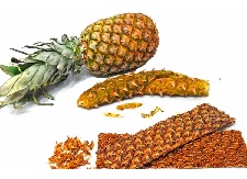 FRUTA CASCARA DE PIÑA*KG