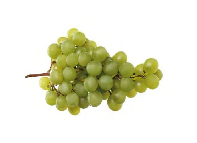 FRUTA UVA PIROVA X KG