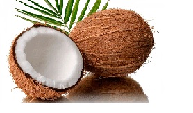 FRUTA COCO UND